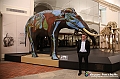 VBS_0906 - Riapre il Museo di Scienze Naturali dopo dieci anni di chiusura